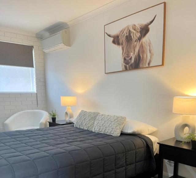 Estelle Kramer Motel Armidale Exteriör bild